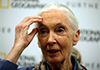 Carolyn Porco news thumbnail - Jane Goodall